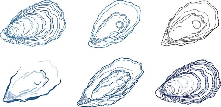 Oyster Shell Collection with Detailed Line Art Illustrations, Ideal for Marine, Ocean, and Seafood-Themed Designs