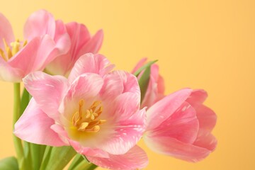 Naklejka premium Beautiful pink tulips on pale yellow background, closeup. Space for text