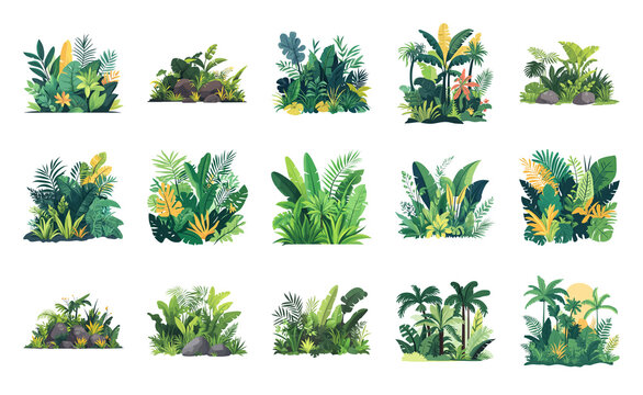 PNG Lush tropical plant illustrations collection on transparent background