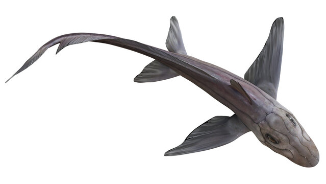 Realistic artistic rendering of a prehistoric fish