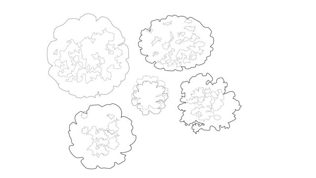 Simple tree canopy outlines top view for architectural site plans and landscape drawings.