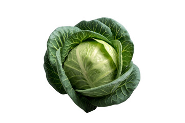 Obraz premium Fresh green cabbage head with transparent background