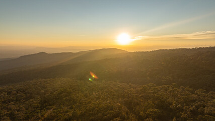 Obraz premium Serene Rural Horizon Beneath a Golden Sunset. Golden hues of dawn and dusk illuminate the pine forest at Phu Ruea National Park, capturing the beauty, silence, and serenity of nature.