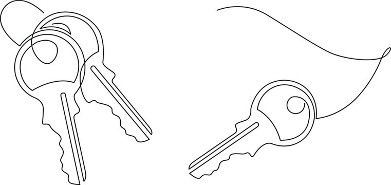 Two distinct keys illustrated with simple line art and a keyhole depiction Vector