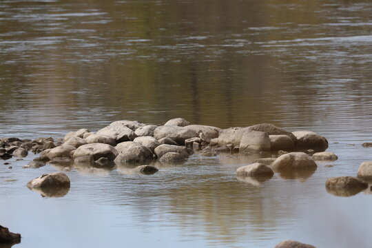 cluster of rocks, boulders in shallow river water (close-up)