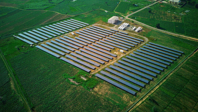 Aerial view of rows of solar panels glinting under the sun, surrounded by verdant fields near Bayero University, Kano, Kano, Nigeria.