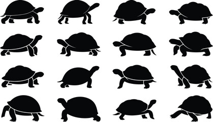 Fototapeta premium Black turtle silhouettes in various walking and resting poses for graphic projects