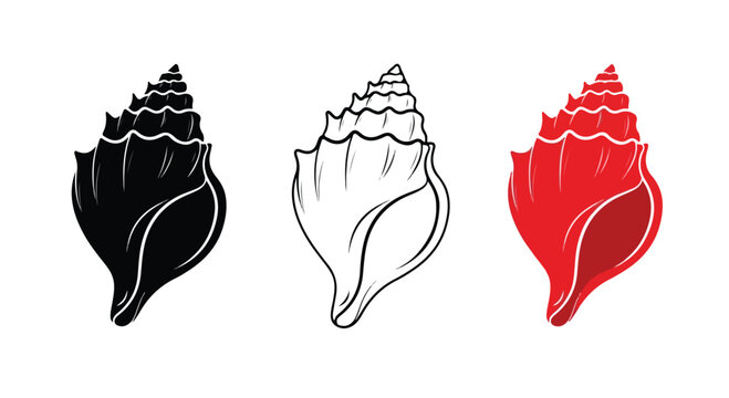 Collection of three distinct seashell illustrations in black silhouette, white outline, and vibrant red color