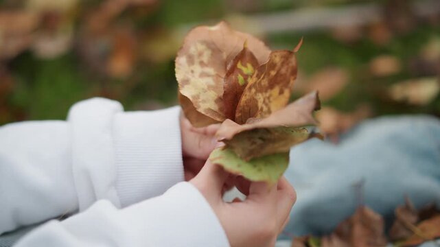 Close up hands holding autumn leaves, child sits on grass in white sweater, gentle fingertips explore brown and green foliage, soft bokeh background, slow calm motion evokes nostalgic memory