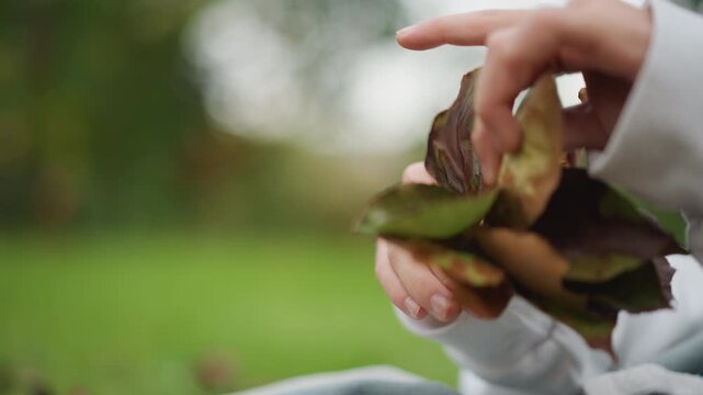 Child hands gathering green brown leaves, closeup young child in white sweater arranging small autumn bouquet in park, cinematic bokeh and soft focus, tactile exploration with delicate fingers, slow