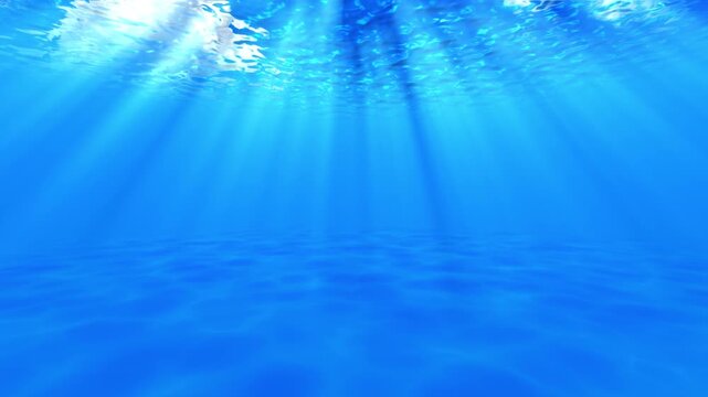 プールの水の中