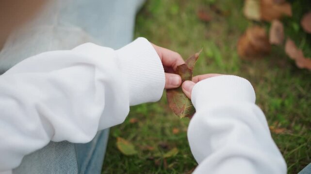 Close up hands holding brown leaf white sweater and denim visible sitting on grass gentle autumn light person slowly examining leaf edges textured foliage scattered fallen leaves intimate tactile