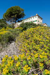 Obraz premium Santa Llucia Hermitage, Mancor de la Vall, Natural area of the Serra de Tramuntana., Majorca, Balearic Islands, Spain