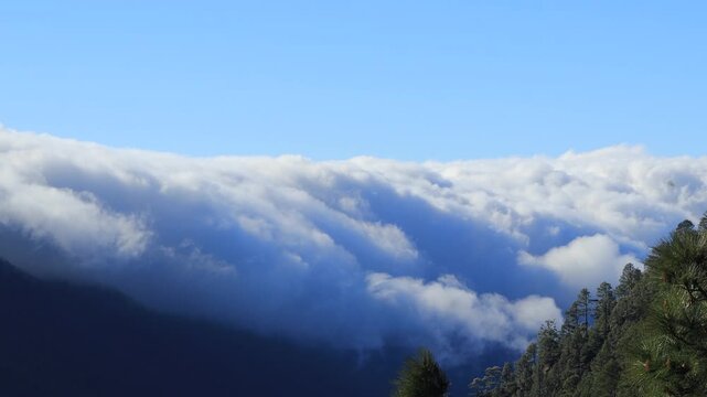 Espectacular mar de nubes cayendo sobre ladera de pinos en La Palma. Time-lapse de cascada de nubes bajo cielo azul, fen&oacute;meno meteorol&oacute;gico de las Islas Canarias.