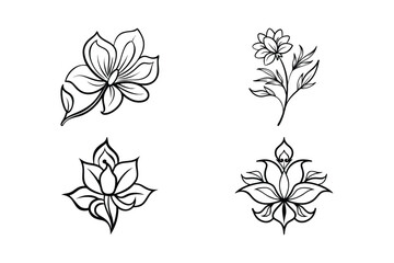 Fototapeta premium Floral Collection Delicate Blossom Botanical Line Art Design