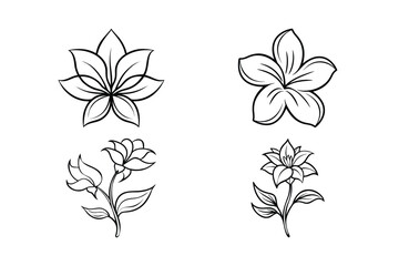 Fototapeta premium Floral Sketches Collection, Botanical Line Art, Blossom Drawings