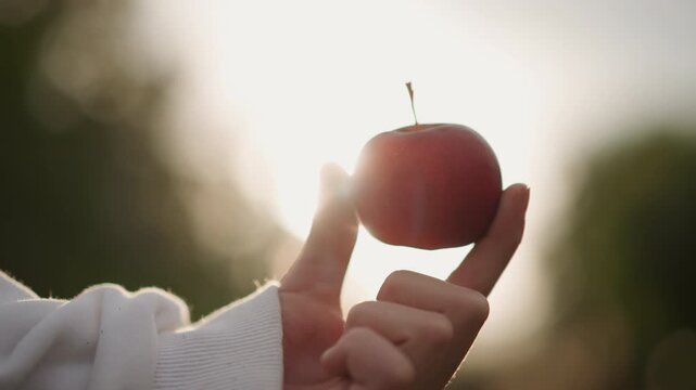 Closeup hand holding red apple backlit by sun, crisp skin and dew, warm glow and bokeh, tactile detail highlighting texture and stem, tempting fresh snack, macro composition for food and lifestyle