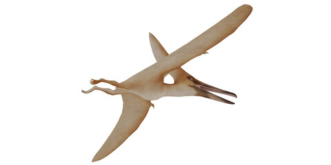 Realistic 3D rendering of a flying pterodactyl. © Ilie