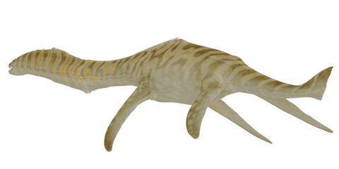 Fossil replica of prehistoric aquatic creature © Ilie