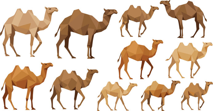 Geometric camel polygon collection with low poly design, desert animals in abstract style, modern vector illustration set