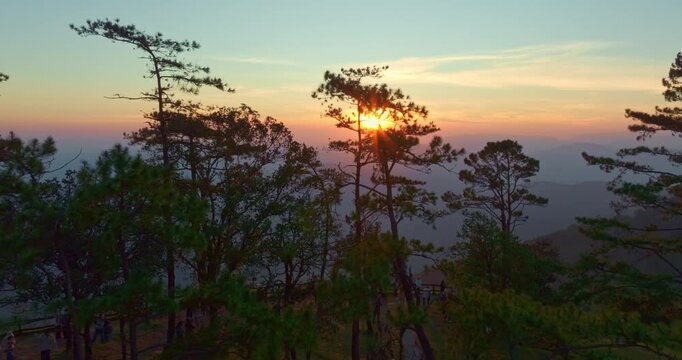 A breathtaking aerial view captures the golden sunrise rising above a vast canopy of pine trees and mist-covered mountains. Soft morning light paints the forest in warm hues, creating a peaceful