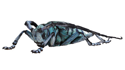 Close-up of a striking blue beetle illustration © Ilie