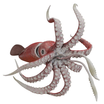 Dynamic octopus with extended tentacles.