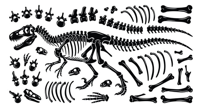Silhouette set of dinosaur skeleton bones featuring t-rex fossil anatomy and paleontology elements for educational design