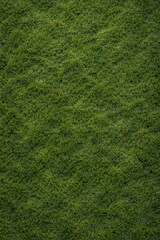 Fototapeta premium Moss. Green Marine Moss Texture Seamless Pattern. Close-up ocean moss surface detail. Natural algae growth design. Algae. Realistic marine moss texture background. Detailed underwater macro close-up.