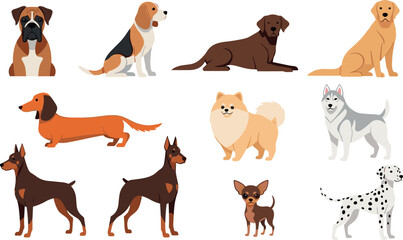 Fototapeta premium Cartoon Dog Breeds Set with Beagle, Poodle, Doberman, Dalmatian, and More