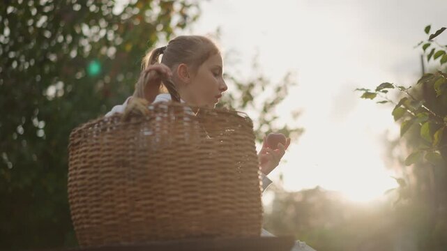 Girl in basket at sunset, garden scene with warm backlight, wicker basket filled with flowers, young harvest helper picking bloom, gentle breeze, sun flare and soft film glow, contemplative expression