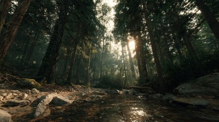 Fototapeta premium A serene forest scene with a stream flowing through, sun shining through trees creating dappled light