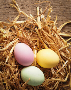 Drei bunte Bio Ostereier im Strohnest