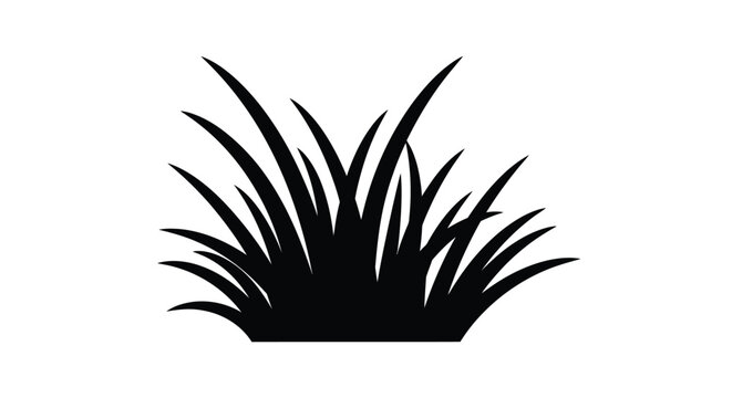 Black silhouette of spiky grass or plant foliage silhouette
