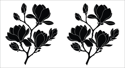 Floral arrangement of magnolia blossoms in a striking black silhouette © Abir