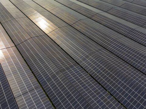 Aerial view of solar panels shimmering under the golden light of the setting sun at Zonnepark Zuyderzon, Almere, Flevoland, Netherlands.