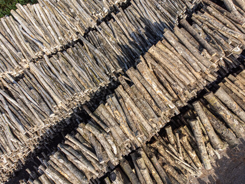 Aerial view of neatly stacked piles of logs displaying contrasting tones and textures, creating a geometric pattern, Groen Gas Almere, Flevoland, Netherlands.