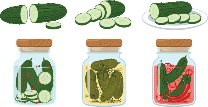 Pickled cucumber vector set with fresh slices, whole vegetables and glass jars, homemade pickles illustration collection isolated on white