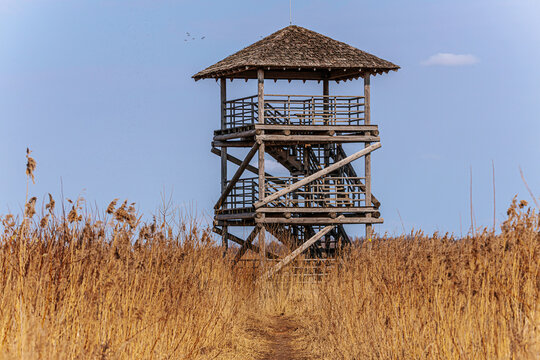 Wooden observation tower surrounded by tall dry grass under a clear blue sky, providing a scenic view of the natural landscape in a rural area