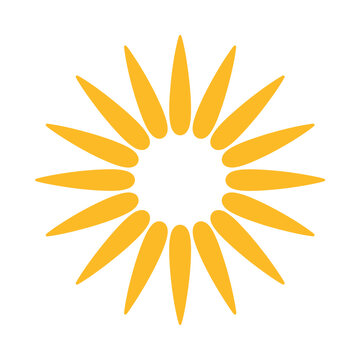 A vibrant stylized sunburst graphic features elongated orange petals radiating from a central point high quality
