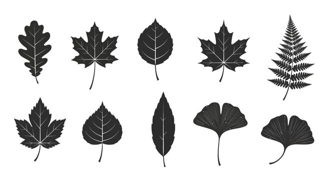Silhouette collection of autumn leaves showcasing diverse botanical shapes