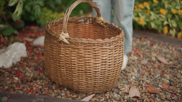 Rustic autumn arrangement. Wicker container with seasonal decor. Outdoor scene featuring woven basket and autumn elements. Natural setting showcasing wicker basket among leaves and garden stones