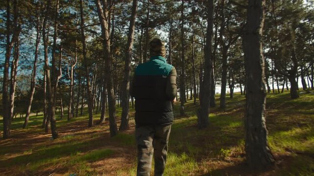 Scenic back view of a man running through the forest in camouflage pants on a trail.