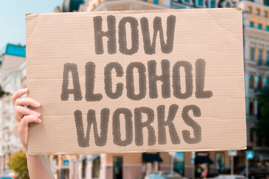 "How Alcohol Works" The body processes alcohol through a predictable metabolic path. METABOLISM. ALCOHOL. BODY. PROCESS. SCIENCE.