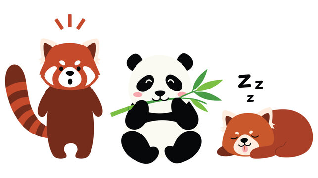 Cute red panda, giant panda eating bamboo, and sleeping red panda illustration
