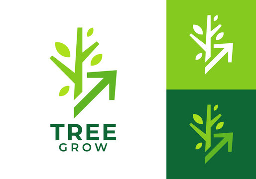 abstract tree with arrow growth logo design template