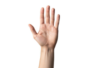 Fototapeta premium Human hand with palm open isolated on transparent background