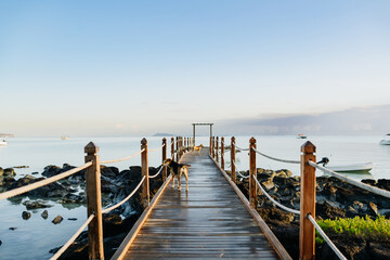 Fototapeta premium Tropical beach jetty in Mauritius resort with turquoise sea and greenery.