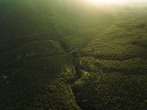 Aerial view of Mount Terminio featuring dense green forests and a deep valley under the golden light of sunset in Sala, Campania, Italy.