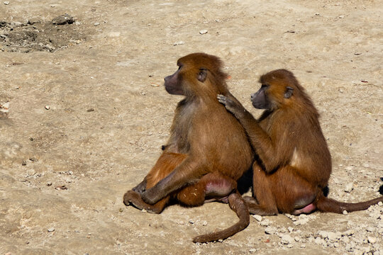 petit massage au soleil